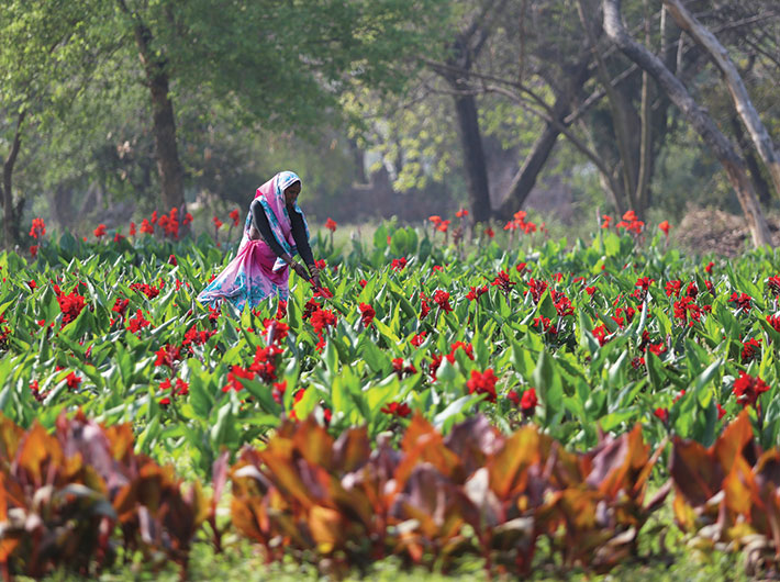 sunder nursery