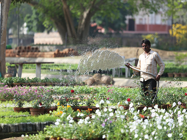 sunder nursery