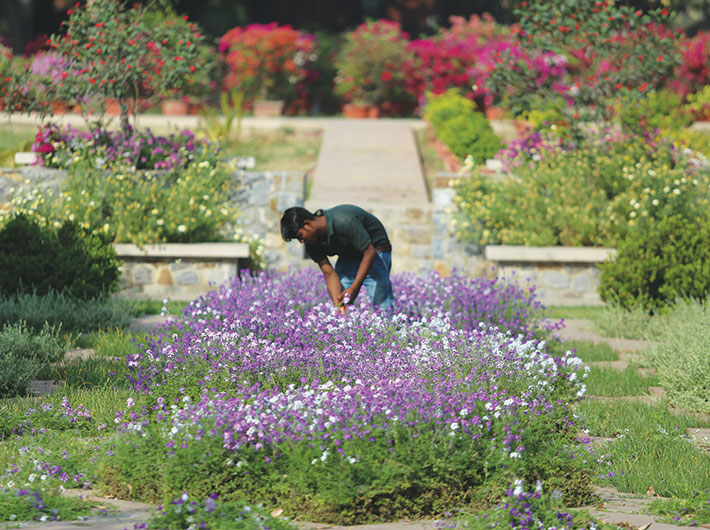 sunder nursery